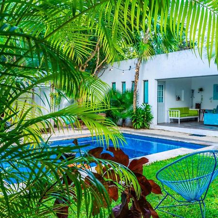 Casa Borush By Ecoplaneta Otel Cancun Dış mekan fotoğraf