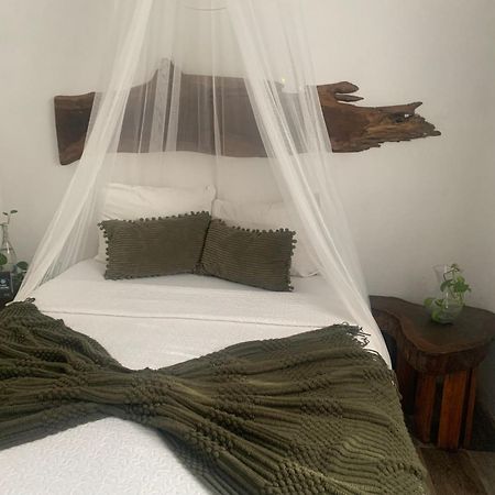 Casa Borush By Ecoplaneta Otel Cancun Dış mekan fotoğraf
