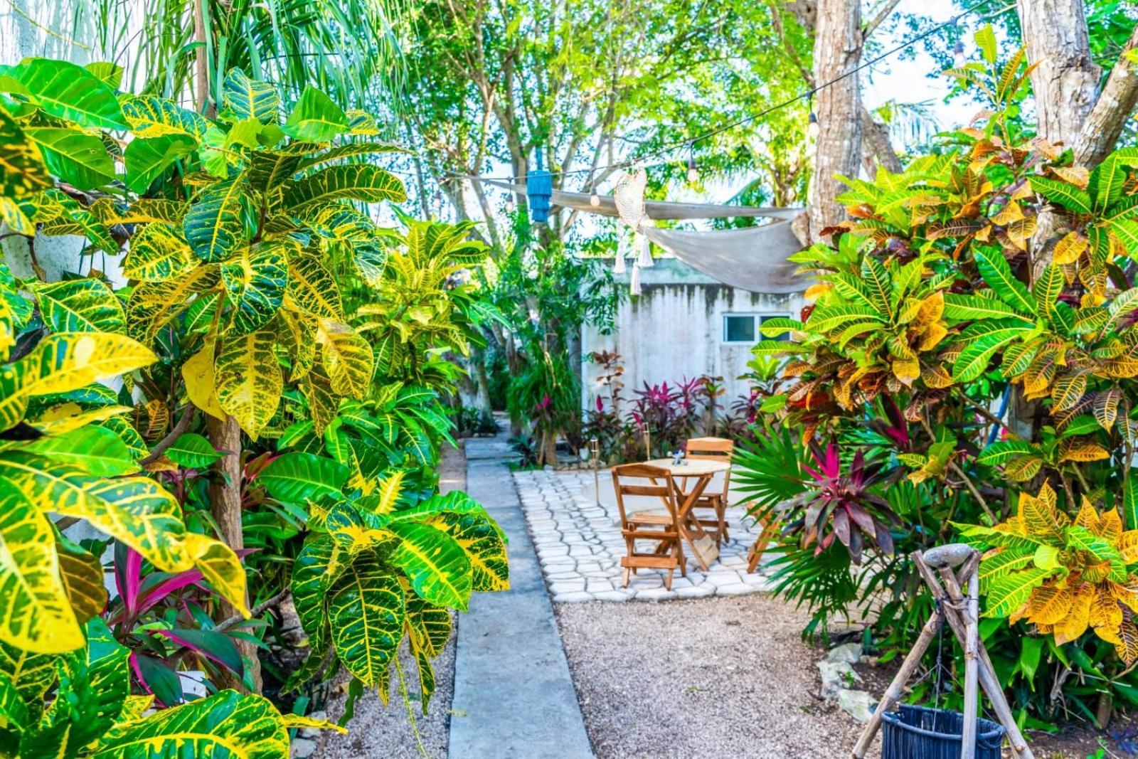 Casa Borush By Ecoplaneta Otel Cancun Dış mekan fotoğraf